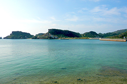 対岸の棟