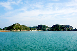 対岸の棟